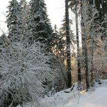 Altenfeld Thüringen Altenfeld Thüringen